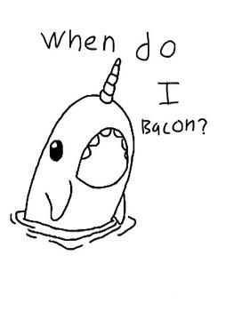 263x350 The Daily Narwhal (Narwhals Awesome Right) Questions About