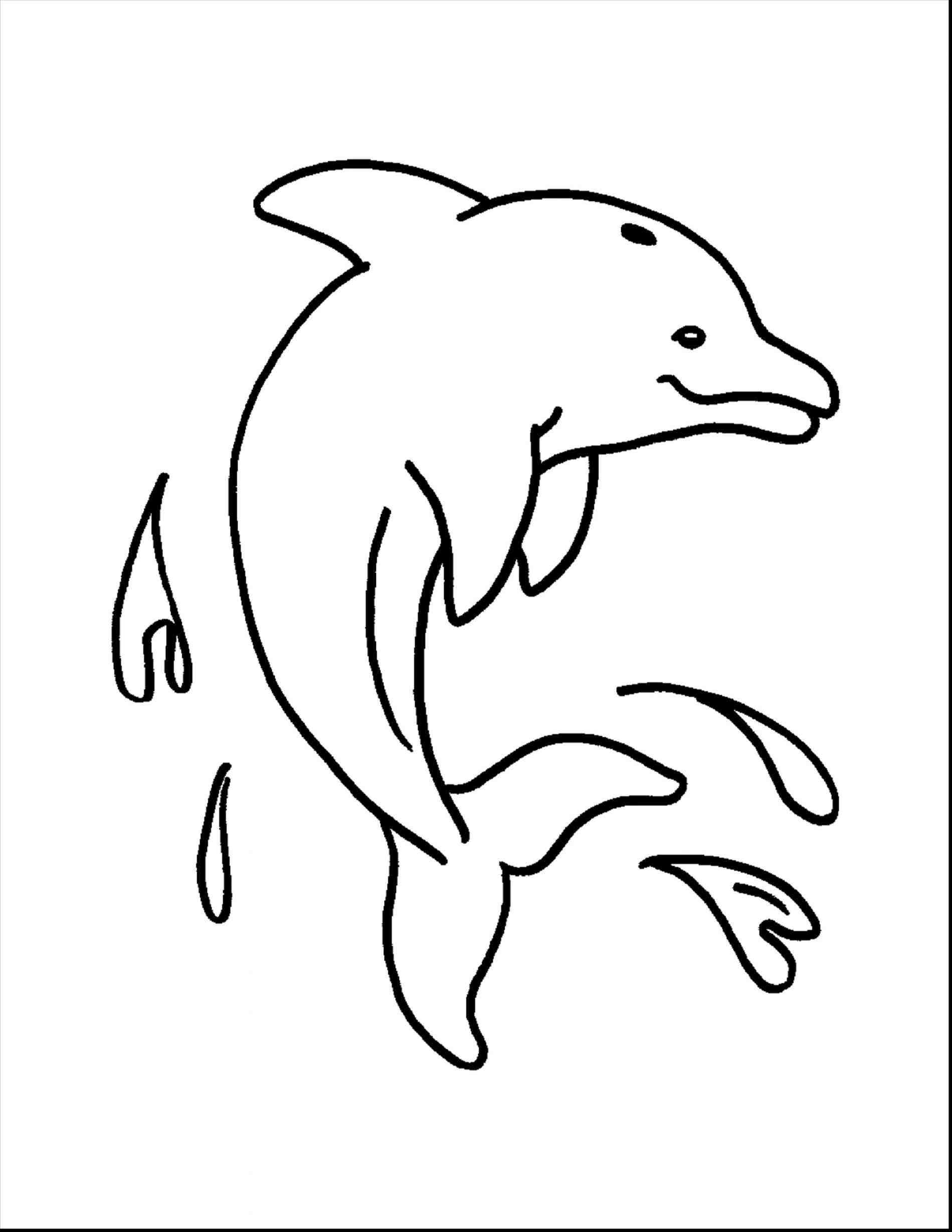 1899x2458 Ocean Animal Drawing Easy