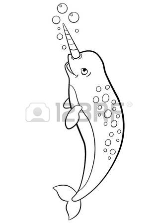 318x450 Drawn Narwhal Little
