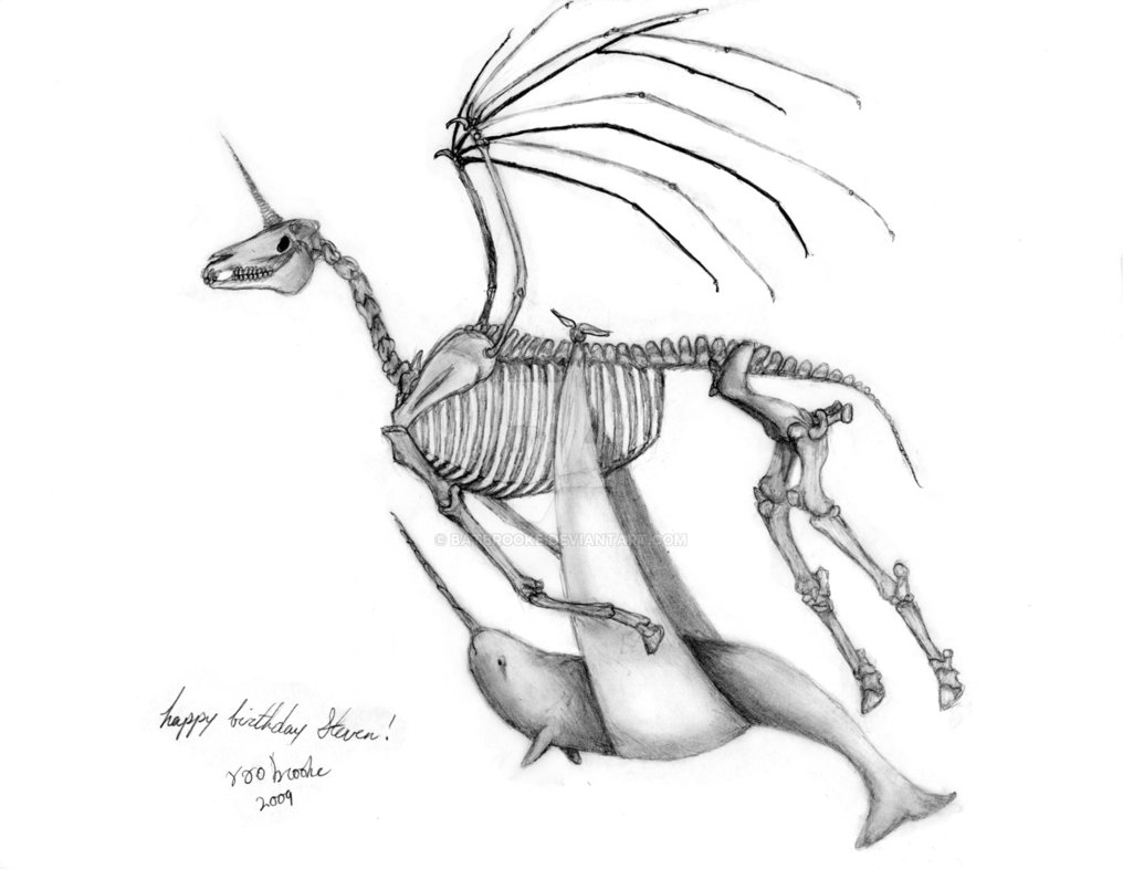 1016x786 Skeletal Unicorn And Narwhal By Batbrooke