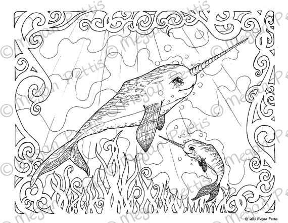 570x440 Narwhal Family Adult Coloring Book Page Whale Unicorn