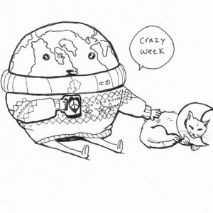 300x300 Argyle Narwhal