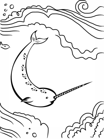 360x480 Narwhal Unicorn Of The Sea Coloring Page Free Printable Coloring