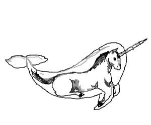 300x250 Not Exinct, Just Hiding In Narwhals