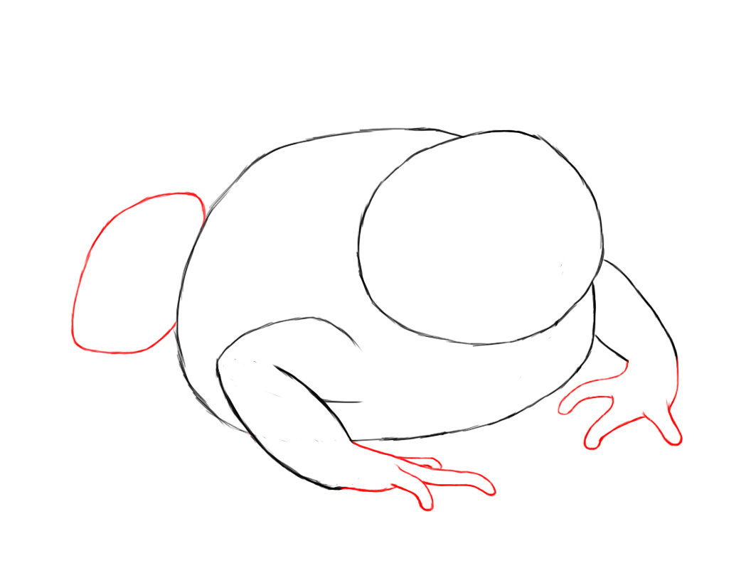 1056x792 How To Draw A Toad More Paper Drawing Ideas