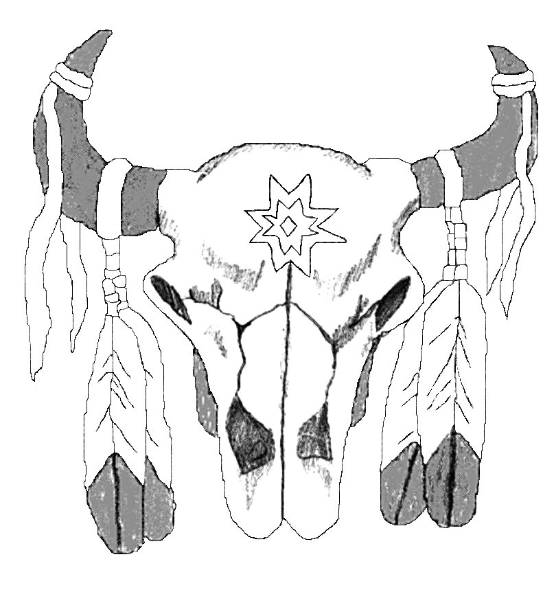 807x862 Native American Buffalo Drawing
