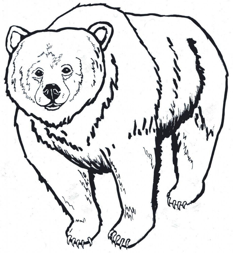 945x1024 Black Bear Clipart California Bear