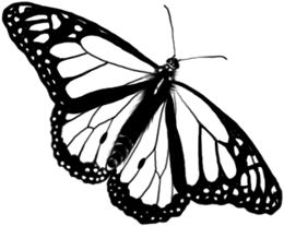 260x207 Medicine Wheel Guide Crystal Vaults