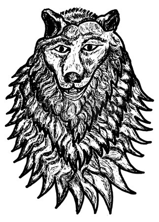 323x450 Vector Sketch Illustration Of A Wolf Head Front View, Black