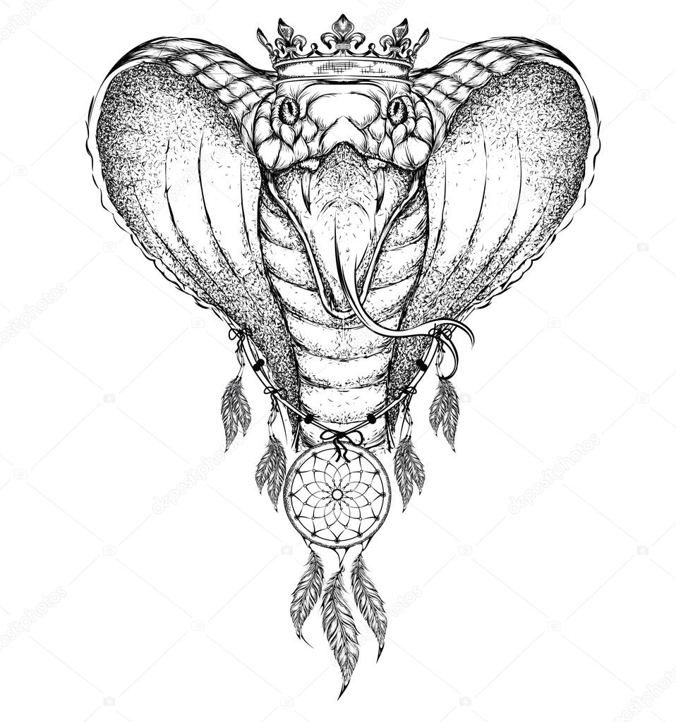 958x1024 Cobra Indian Warrior, Animal Hand Drawn Illustration, Native