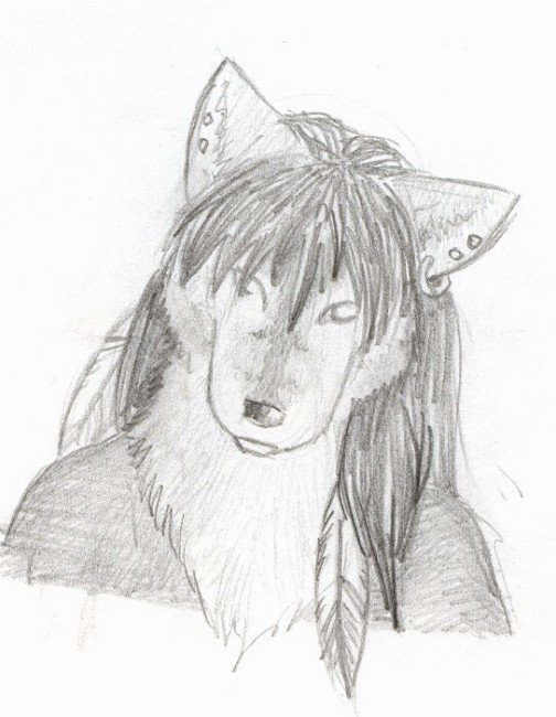 504x650 Native American Wolf Drawing Keywords And Pictures