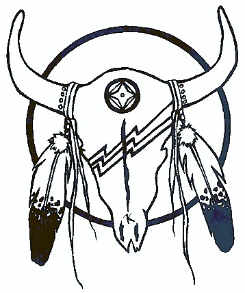 358x428 Skullfeathers Cowboys Amp Indians Feathers, Native