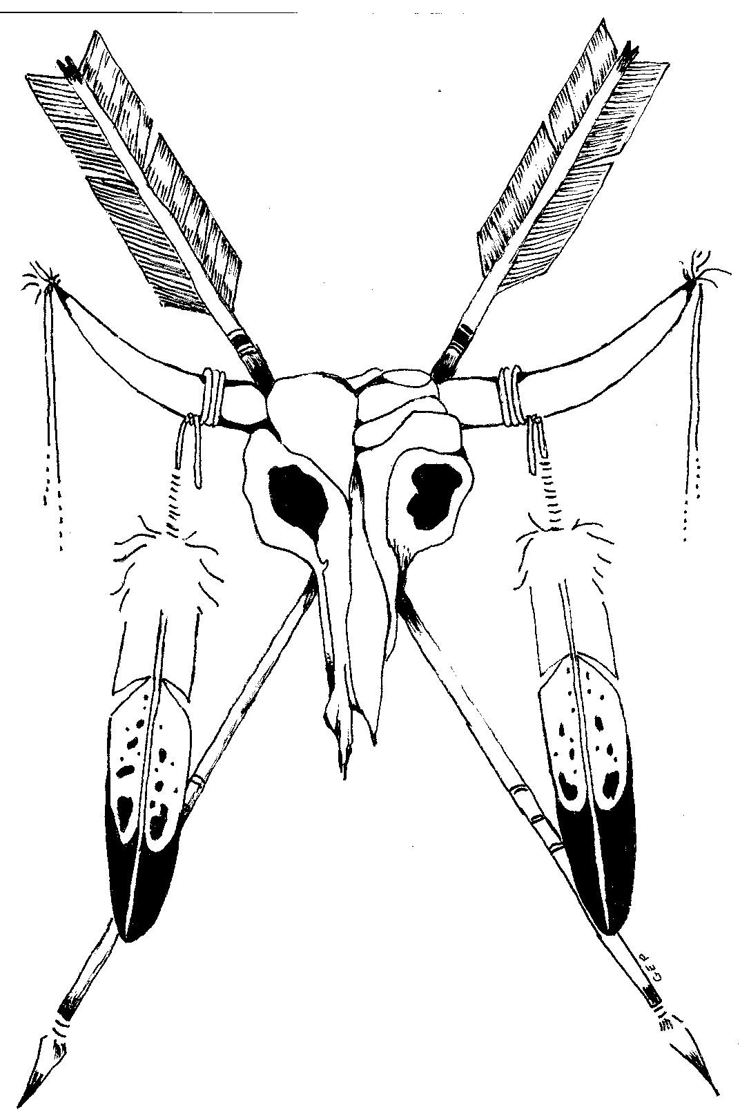 1072x1616 Native American Spear Drawing Fishing Tricks