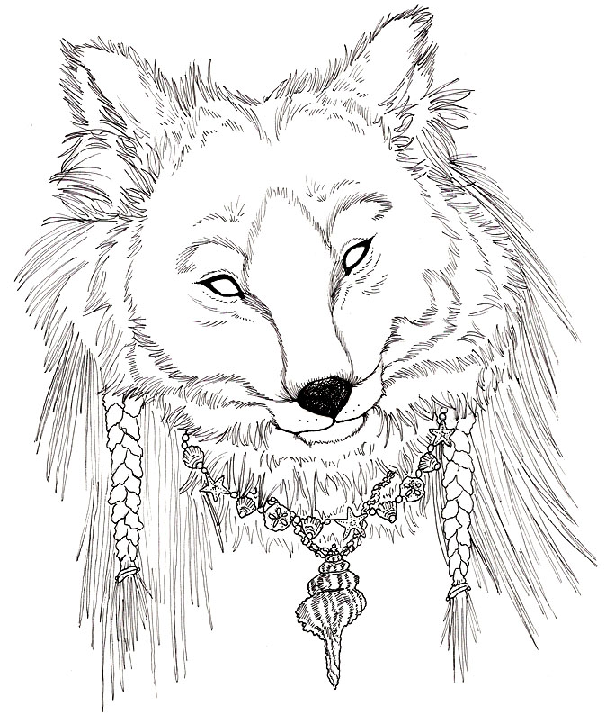 674x794 Native Coyote Spirit By Kimkitty