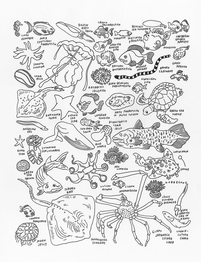 785x1024 Jason Polan's Sea Creatures