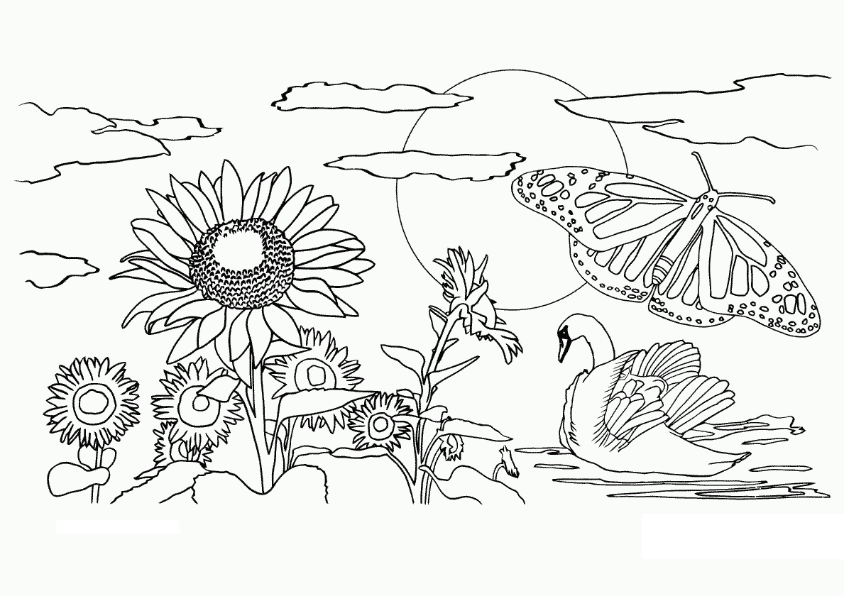 1189x840 Drawn Nature Coloring Sheet