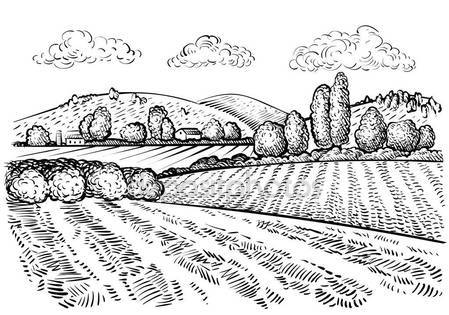 449x315 Rural Landscape Handdrawn Inked Sketch Style Illustration Hand