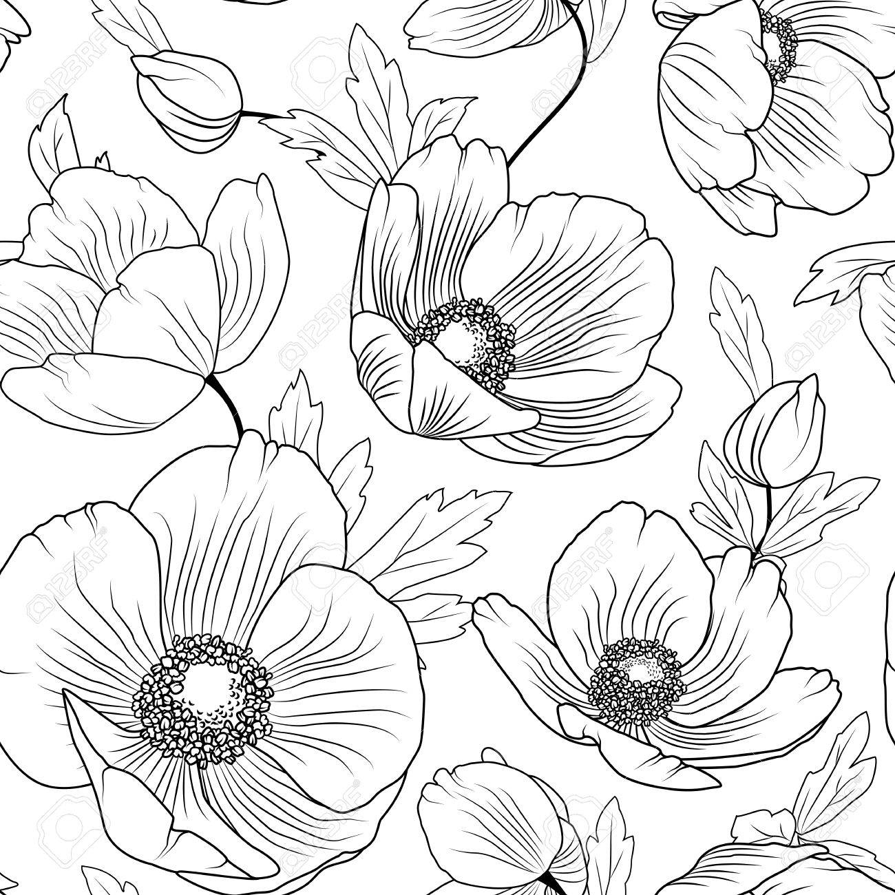 1300x1300 Poppy Flowers Buds Leaves. Seamless Floral Pattern Texture