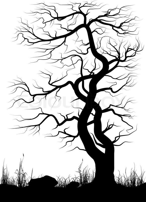581x800 Silhouette Of Old Tree Grass Over White Background. Black