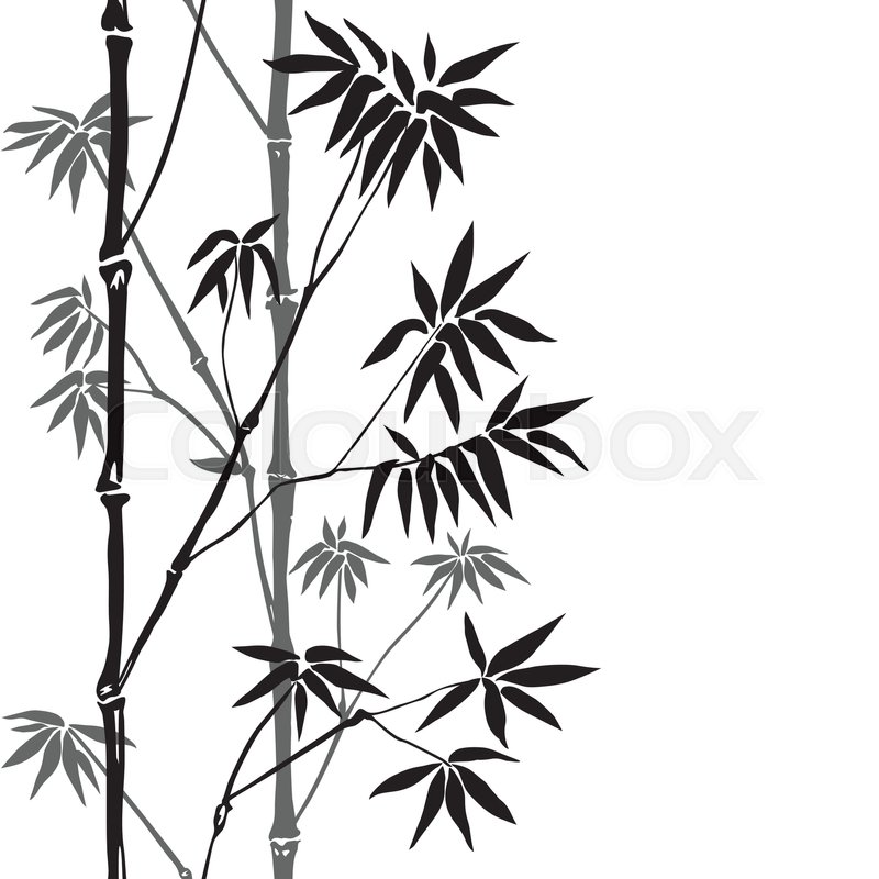 800x800 Bamboo Seamless Vertical Border On White Background. Tropical
