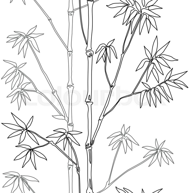800x800 Bamboo Seamless Pattern On White Background. Tropical Outline