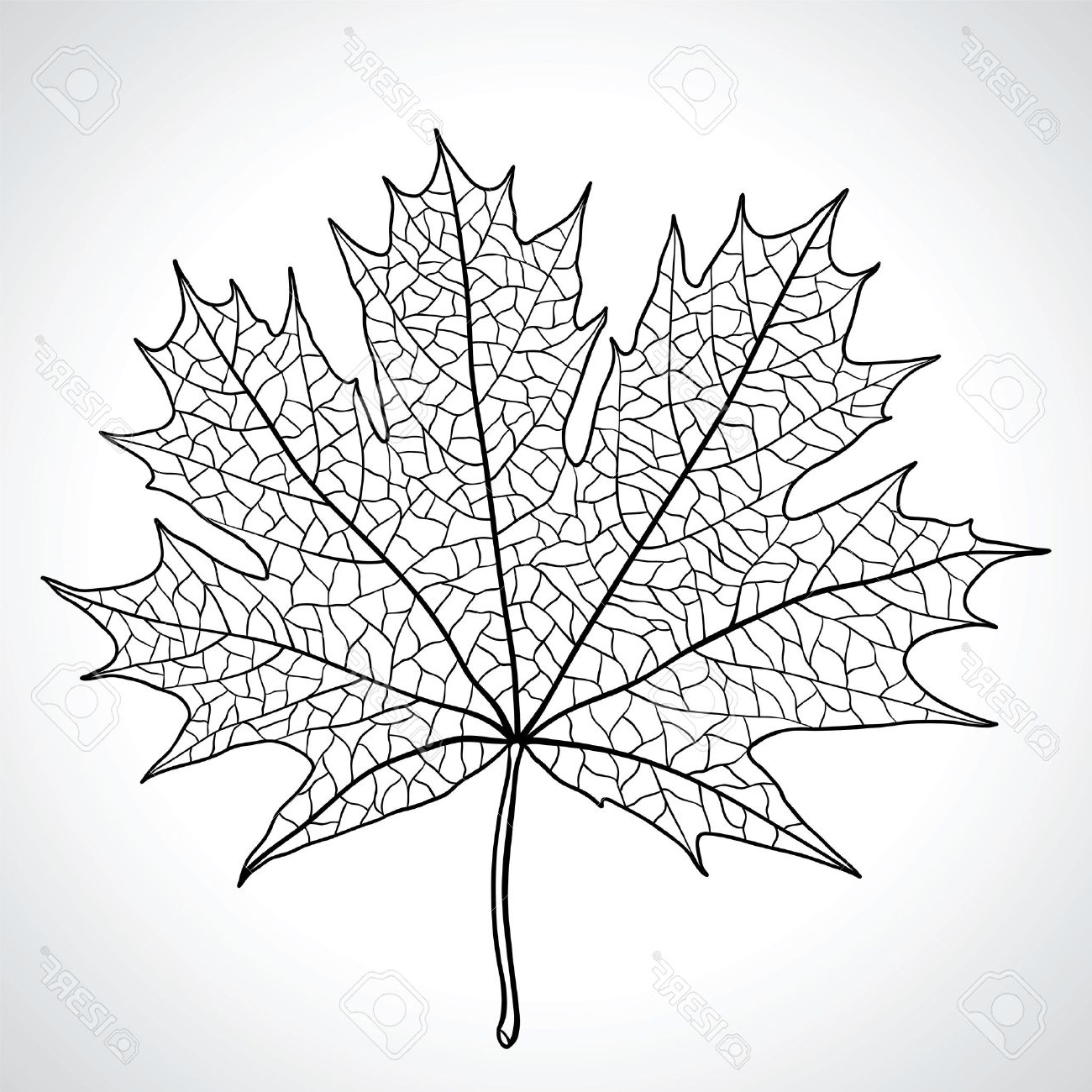 1300x1300 Black And White Nature Drawing Image In Hd