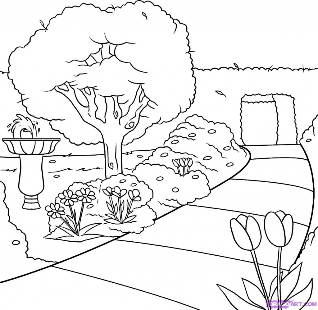 1024x998 Nature Drawing For Kids Black And White Black And White Nature