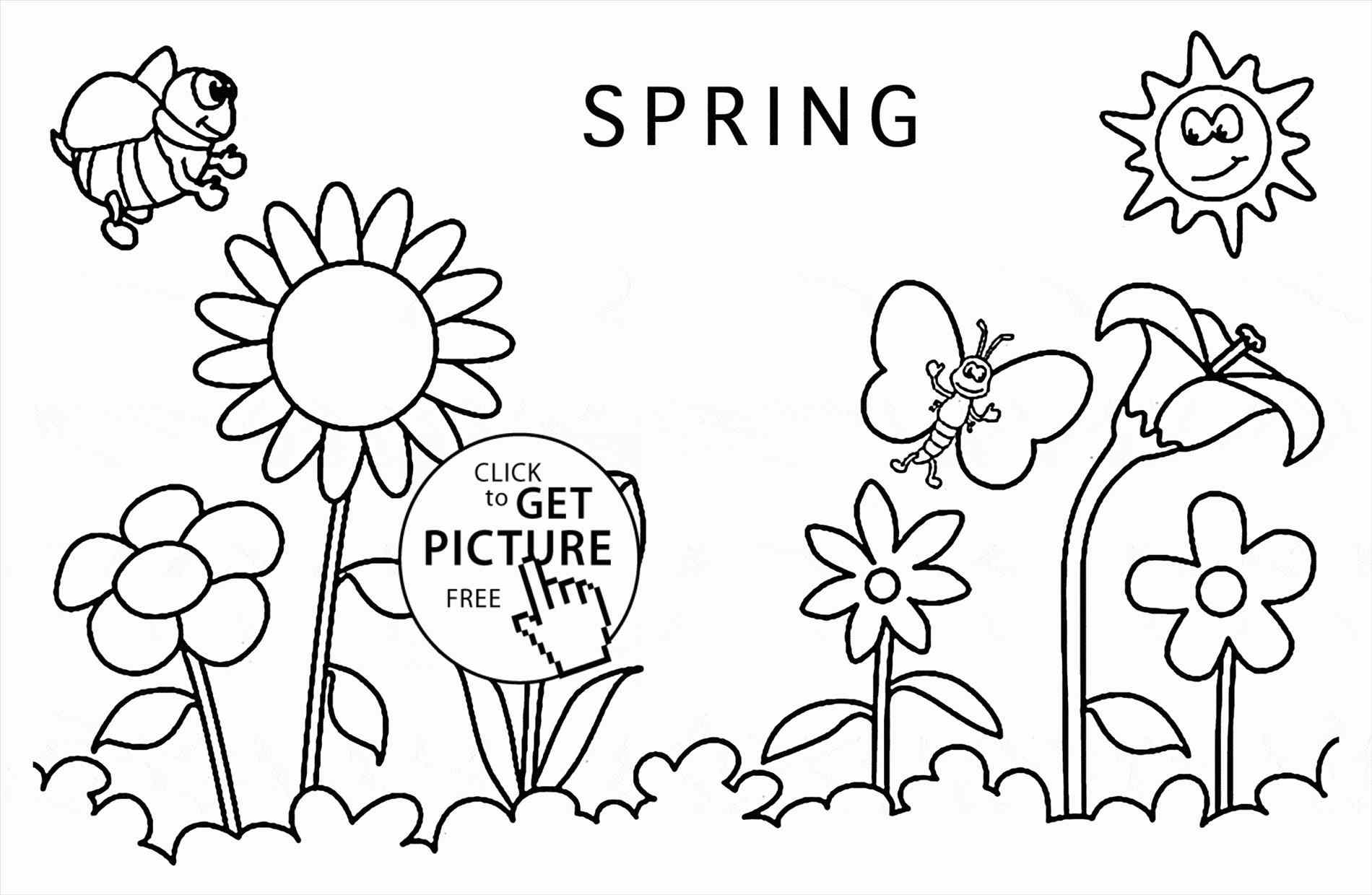 1900x1240 Nature Spring Drawing Pictures Sketch Illustration Stock