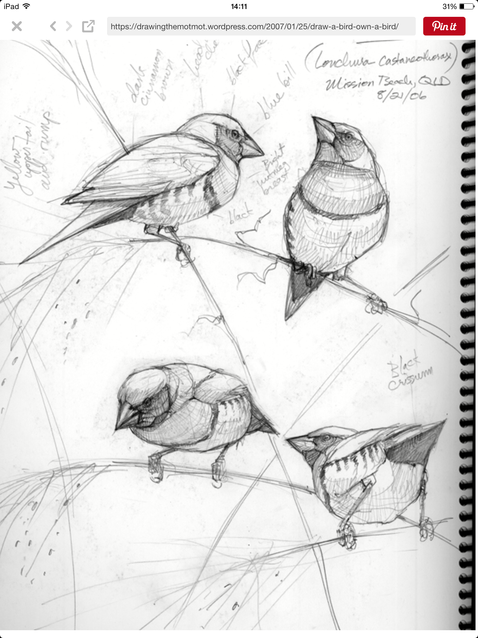 1536x2048 Pin By Sarita Eskenazi On To Draw A Pictures Dibujos E Imagenes