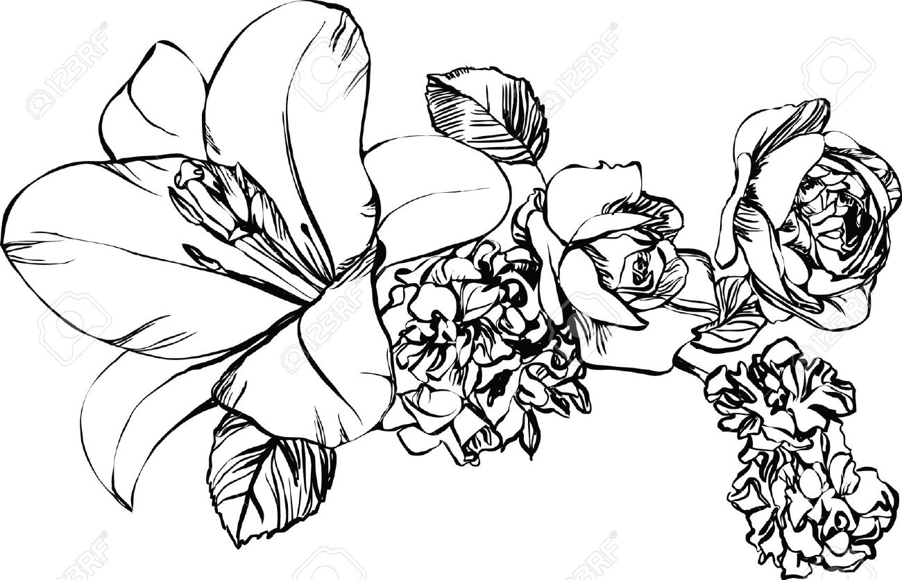 1300x836 Black And White Drawings Of Nature Clipart