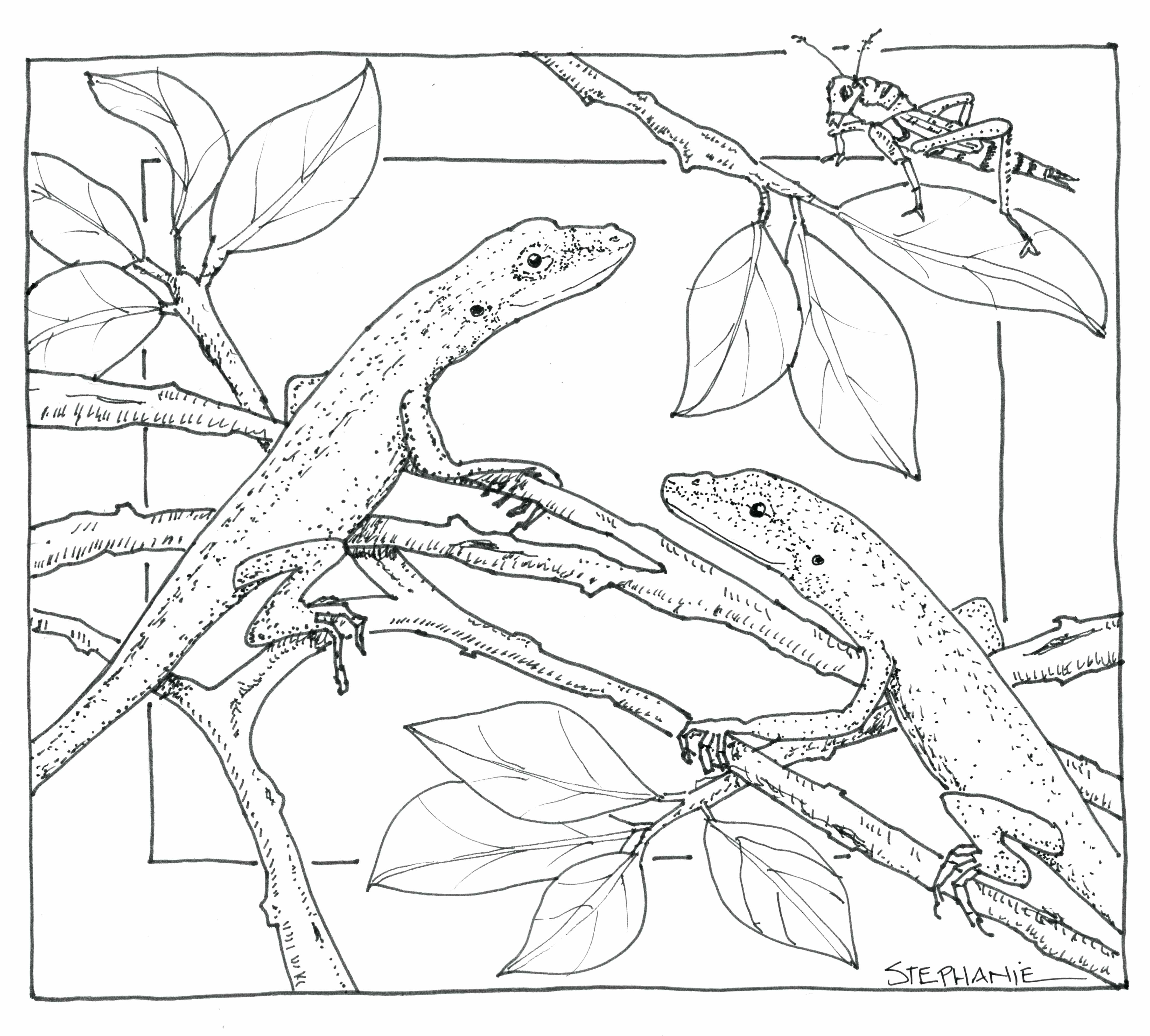 4436x3997 Coloring Nature Scene Coloring Pages Draw With Additional Print