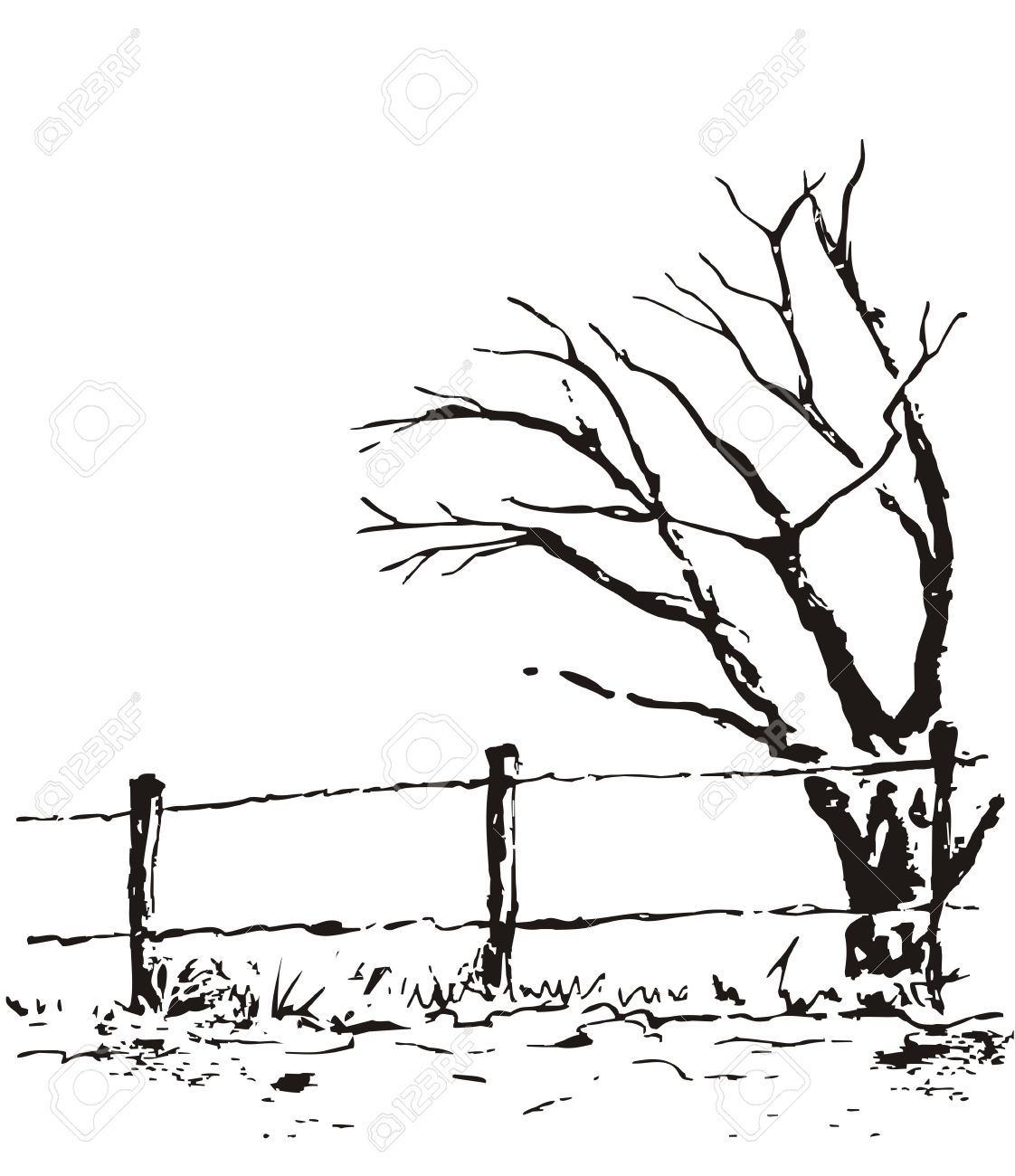 1122x1300 Black And White Nature Drawings Clipart