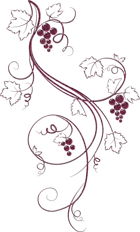 484x800 Drawn Grapes Nature