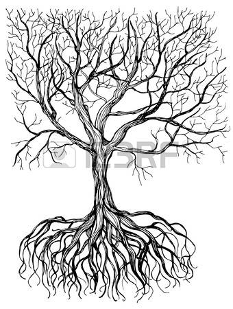 340x450 Drawn Tree Nature