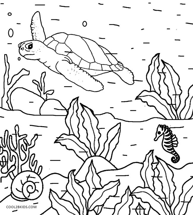 650x726 Nature Coloring Pages To Amusing Print Draw Printable Coloring