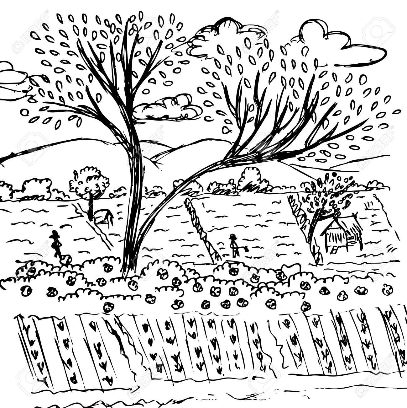 1299x1300 Farmland Sketch, Free Hand Drawing Nature Vector Royalty Free
