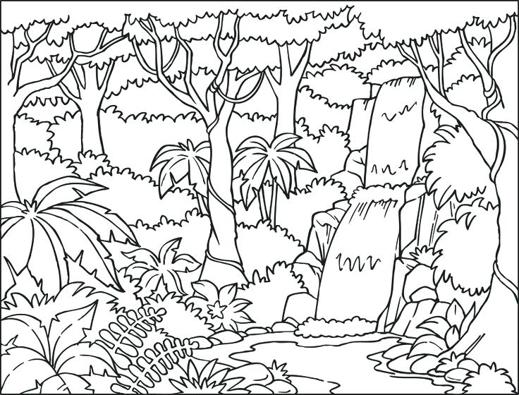 736x560 Nature Scene Coloring Pages Coloring Pages Scene Coloring Pages