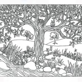268x268 River Scene Coloring Page Kids Drawing And Coloring Pages