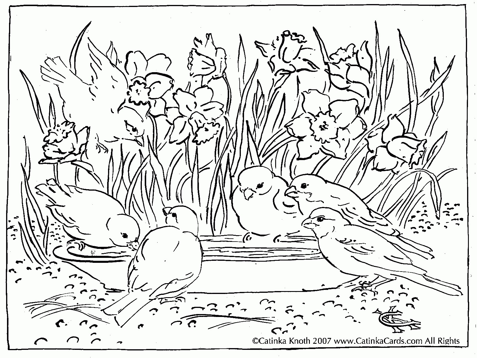 1638x1230 Scenery Coloring Pages Freecolorngpages.co