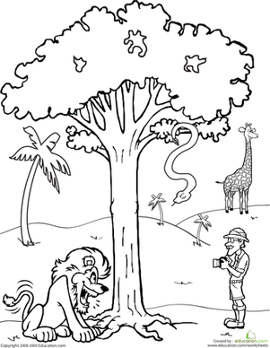 301x388 Color The Safari Scene Worksheet