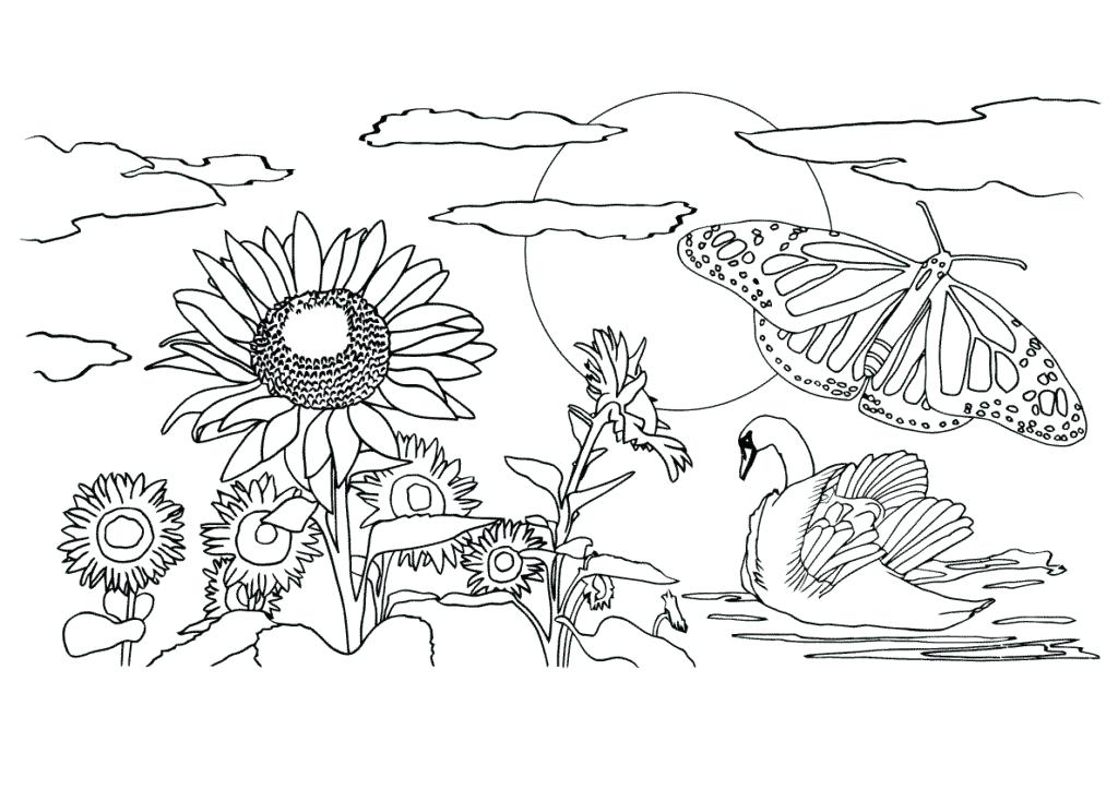 1024x723 Free Printable Nature Coloring Pages Online Nature Scenes Coloring