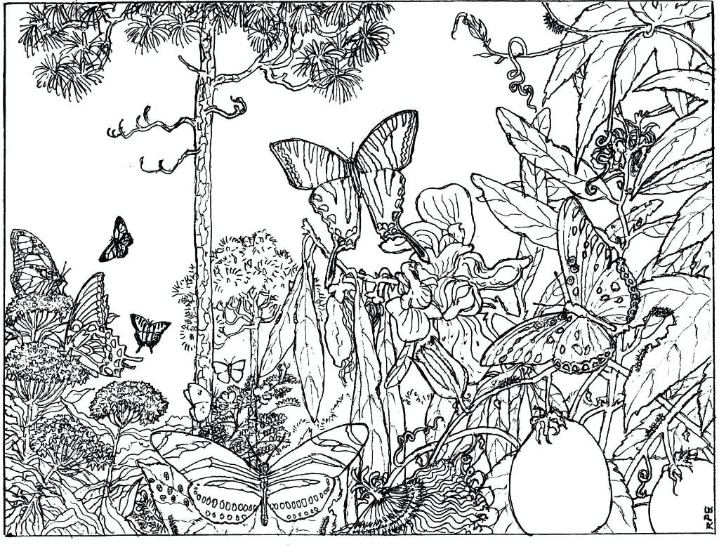 1024x779 Coloring Coloring Pages Nature Scenes