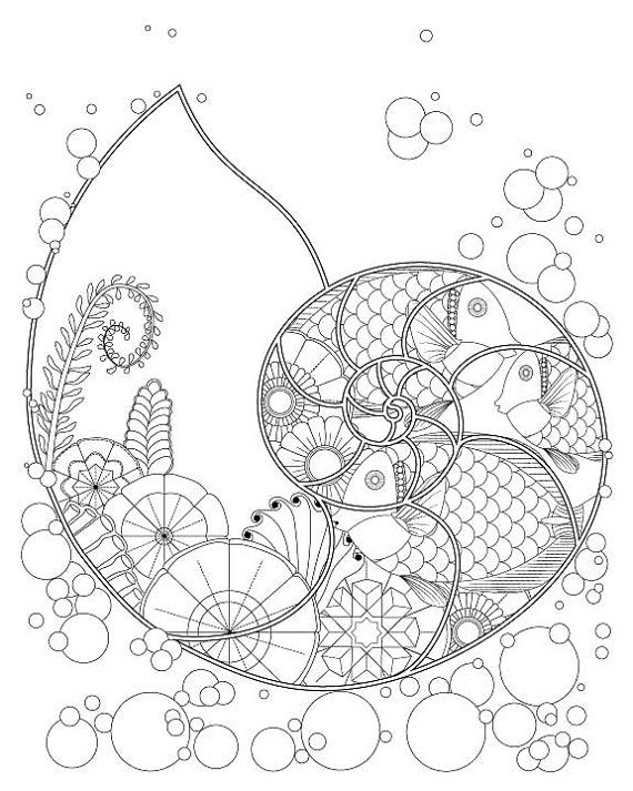 570x713 Fantasy Nautilus Shell With Ocean Plants Amp Fish Coloring Page