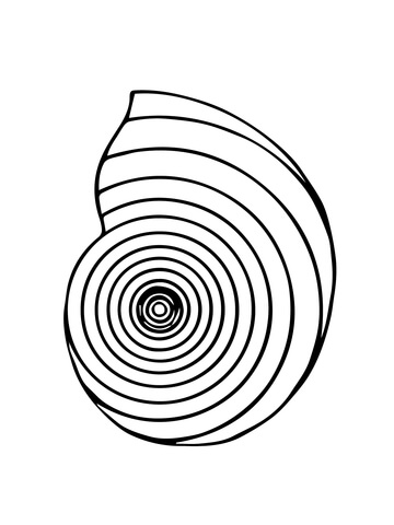 360x480 Nautilus Shell Coloring Page Free Printable Coloring Pages