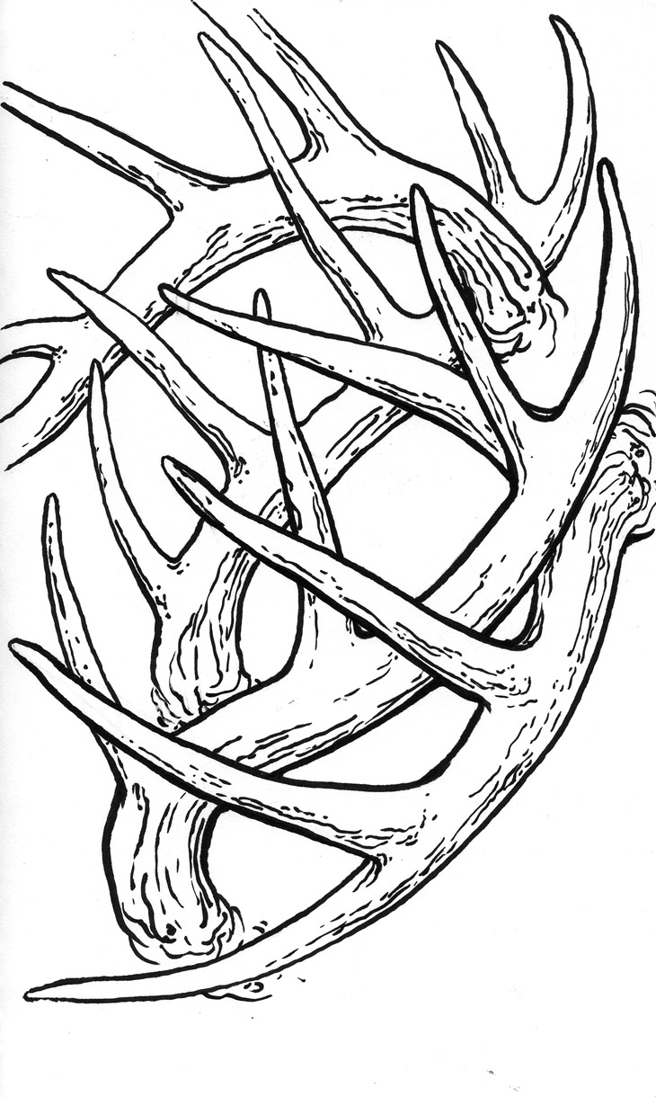 730x1220 Paper Nautilus A Sketch Blog Page 4