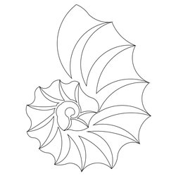 250x250 Shop Category Motiffs Product Nautilus Shell Motiff 2