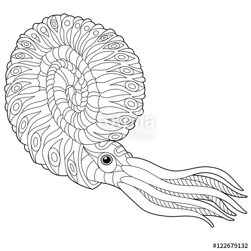 500x500 Stylized Tropical Calamari (Squid, Nautilus), Isolated On White