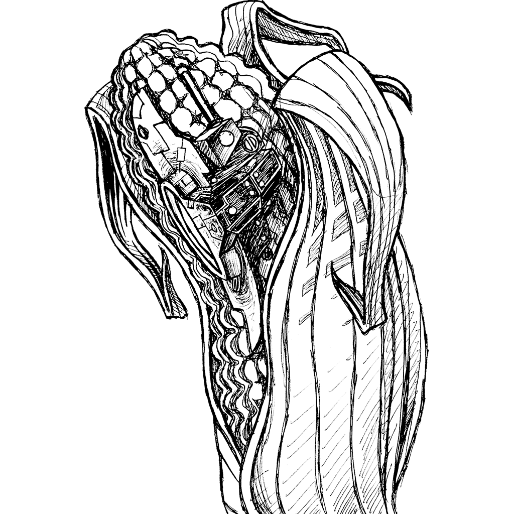 1024x1024 Project First Angry