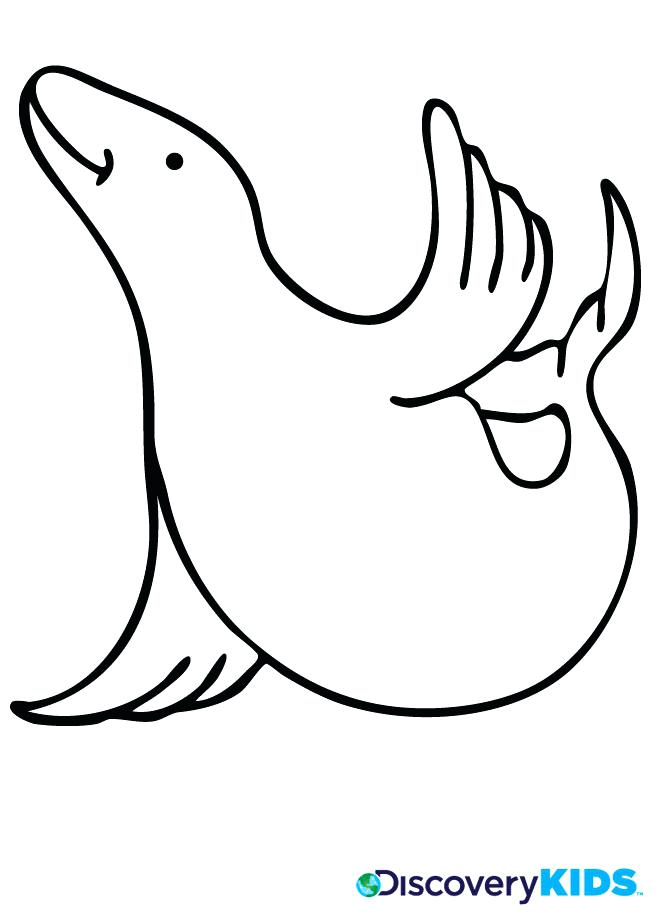 660x922 Navy Seal Coloring Pages Page Discovery Kids Best Coloring Pages