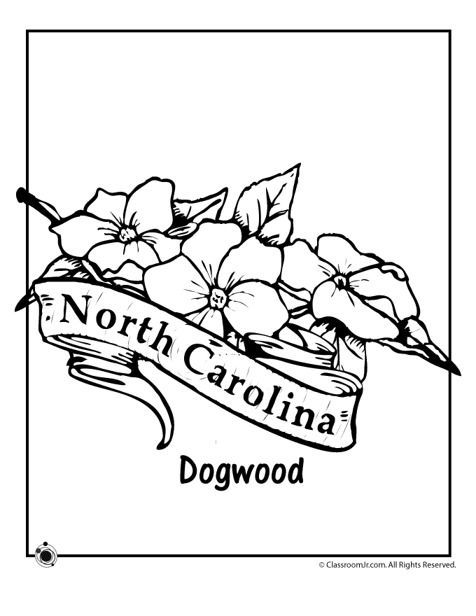 680x880 North Carolina State Flower Coloring Page